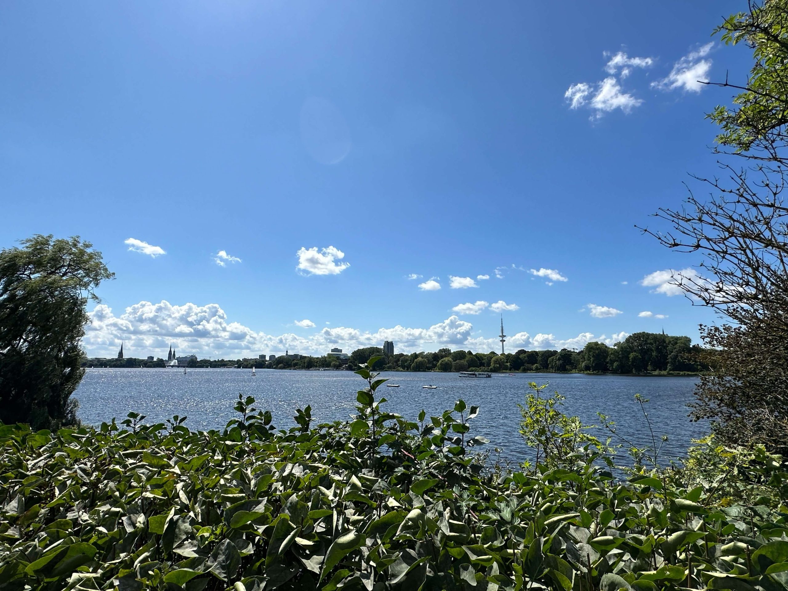 città Amburgo, Germania - Vegan tour