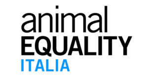 Anima Equality