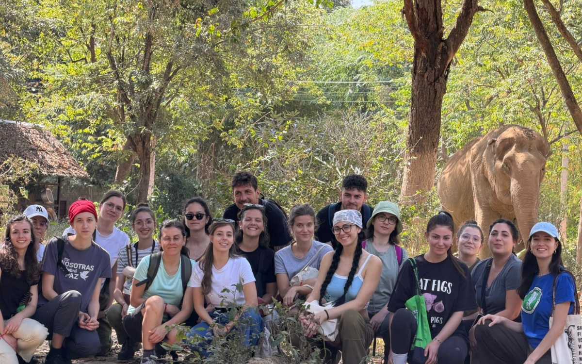 Thailand Elephant Adventure