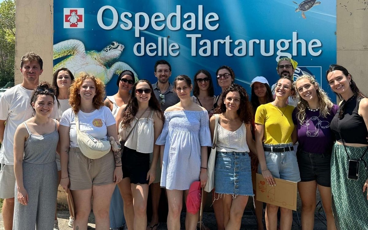 Sea Turtle Adventure